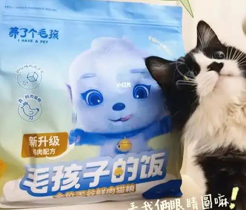 口粮！三只松鼠靠什么重返宠物食品赛道pg电子中文模拟器零食巨头盯上毛孩子(图4)